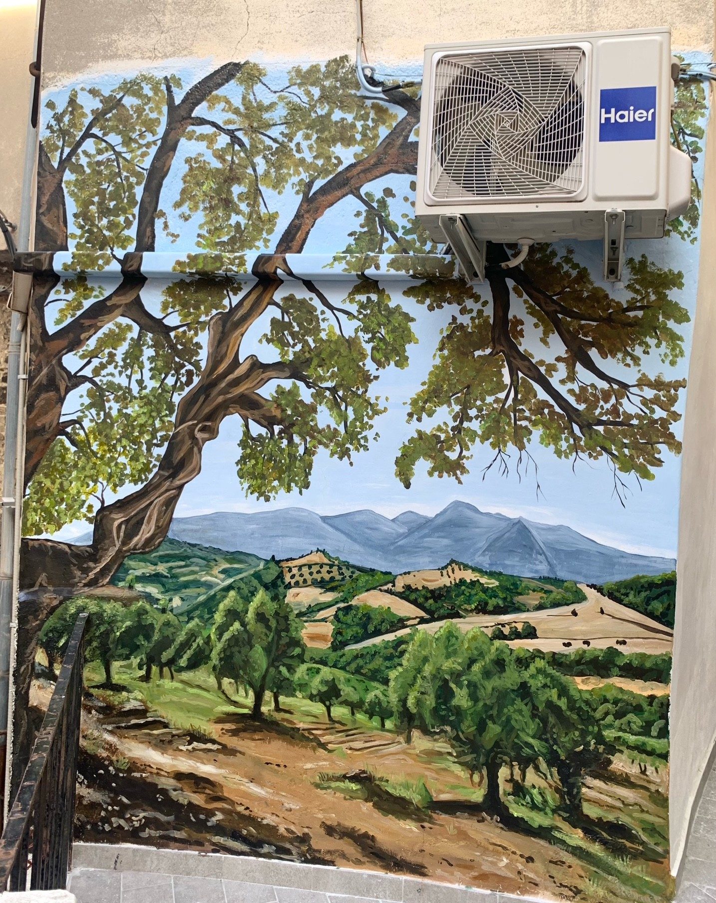 L'albero di ulivo
